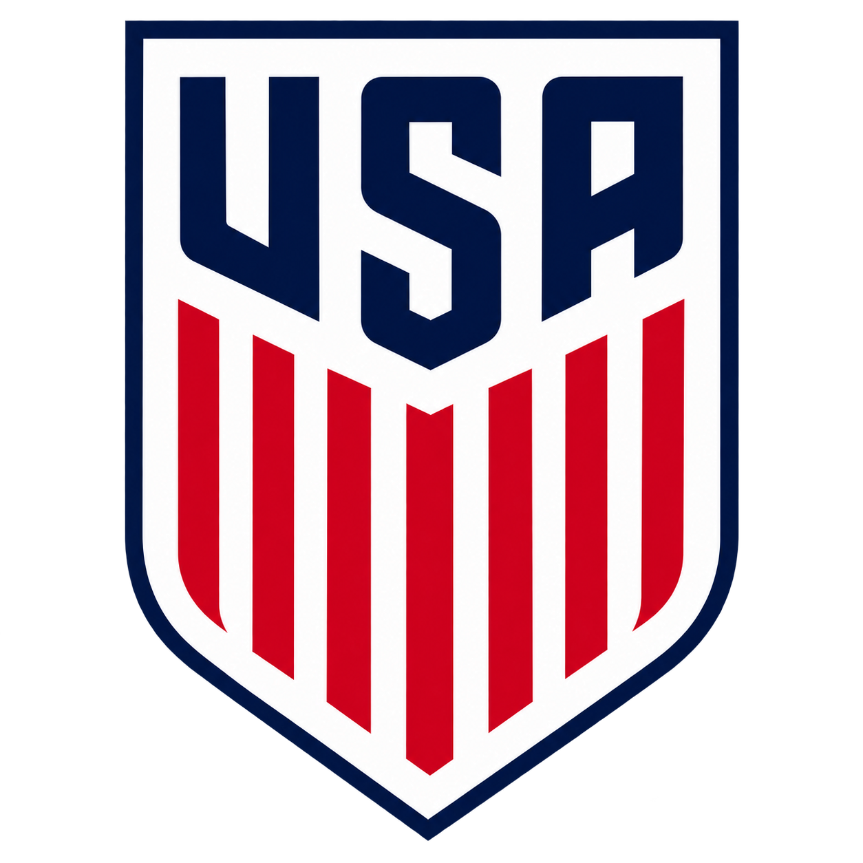 USA dls Logo url
