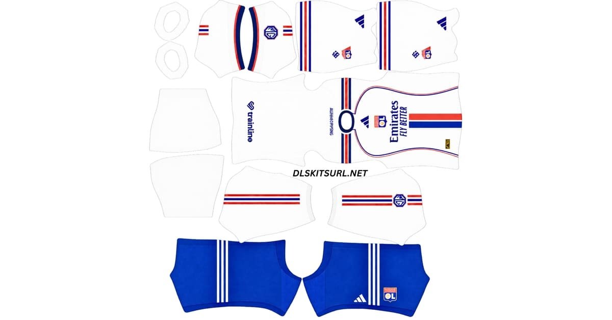 lyon dls kit url
