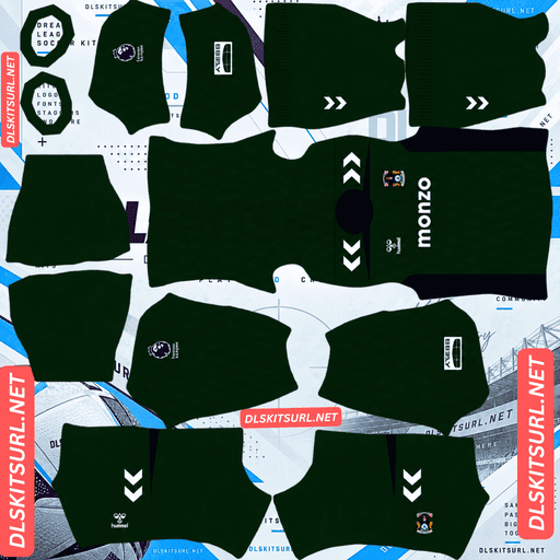Coventry City dls GK Away kit url