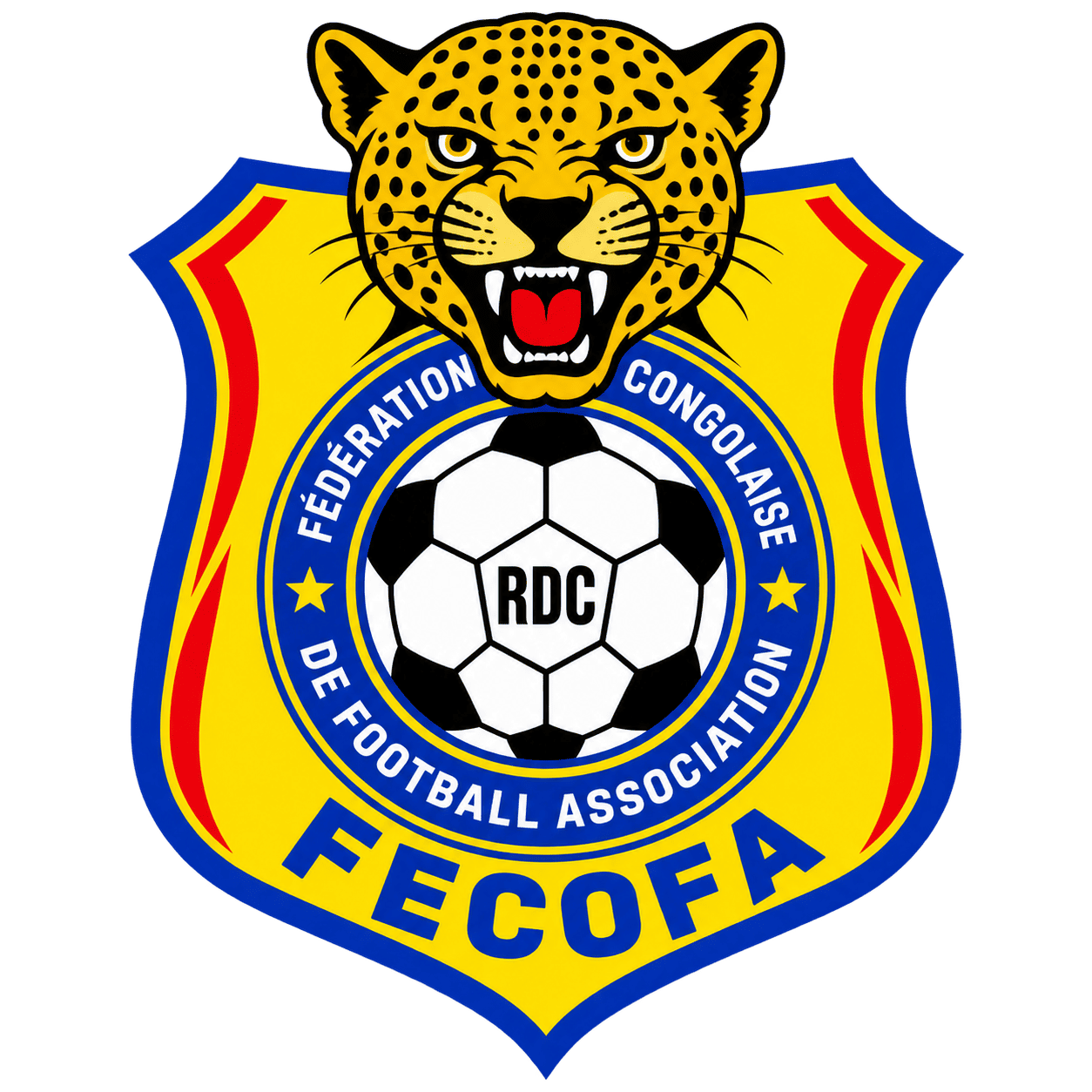 DR Congo dls logo url