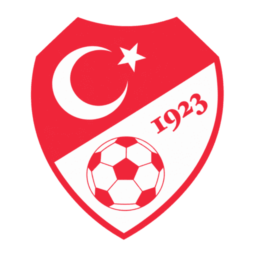 Turkiye DLS Logo